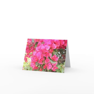 Hot Pink Notecards by pattirm1