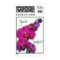 Hot Pink Orchids stamps