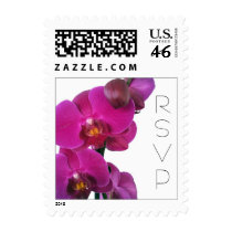 Hot Pink Orchids RSVP stamps