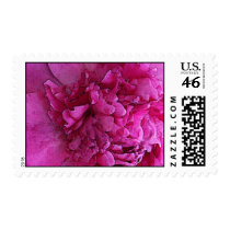 Hot Pink Peonies Wedding Postage stamps