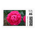 Hot pink peony stamp