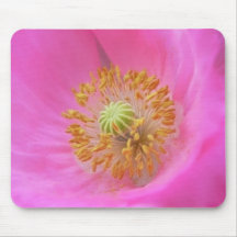 Hot Pink Poppy Flower Mousepads