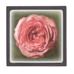 Hot Pink Rose premium gift boxes