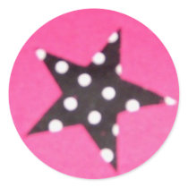 Hot Pink Star Design Round Stickers stickers