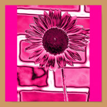 Hot Pink Sunflower Art posters
