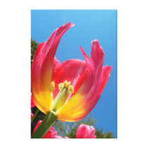 Hot Pink Tulip Inner Beauty canvas prints