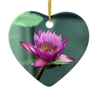 Hot Pink Water Lily Ornament ornament
