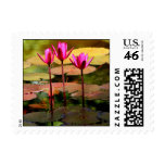 Hot Pink Water Lily Stamp