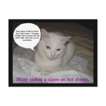Hot Sheets postcards