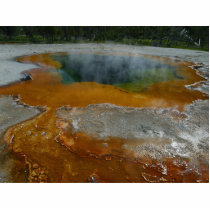 Hot Spring photo sculptures