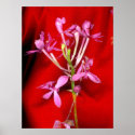 Hot Spring posters