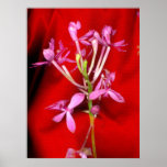 Hot Spring Posters
