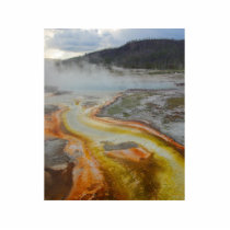 Hot Spring Thermal Pools photo sculptures