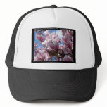 Hot Springs National Park AR Saucer Magnoia Gifts hats