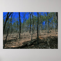 Hot Springs Poster posters