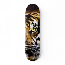 Hot Tiger Artwork Print Custom Skateboard Deck