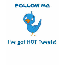 HOT Tweets! - ladies twitter t-shirts