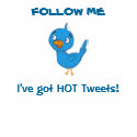 HOT Tweets! - ladies twitter t-shirts