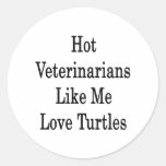 Hot Veterinarians Like Me Love Turtles Round Sticker