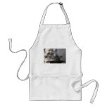 Hotei Buddha and Incense Aprons