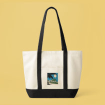 Hotel Pancoast Miami Beach Florida bags