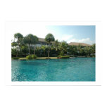 Thailand, Asia, Hotel, Pool, Palm, tree - party travel