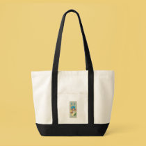 Hotel Windsor, Jacksonville, Florida bags