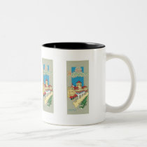 Hotel Windsor, Jacksonville, Florida mugs