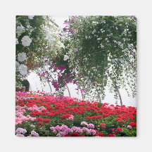 Hothouse Magnet