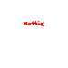 Ladies Petite T-Shirt
