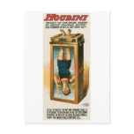 Houdini ~ Illusionist Vintage Magic / Escape Art Post Cards