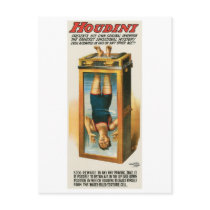 Houdini ~ Illusionist Vintage Magic / Escape Art Post Cards