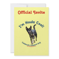 Houla Cool Catahoula Dog Personalized Announcement
