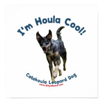 Houla Cool Catahoula Dog Poster