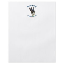 Houla Dog Crazy Full Color Flyer