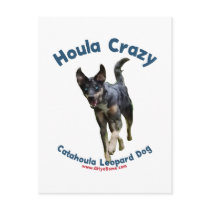 Houla Dog Crazy Postcard