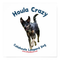 Houla Dog Crazy Posters