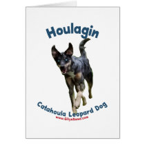 Houlagin Catahoula Dog Card