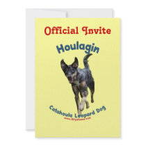 Houlagin Catahoula Dog Custom Announcements