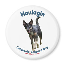 Houlagin Catahoula Dog Fridge Magnets