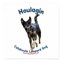 Houlagin Catahoula Dog Posters