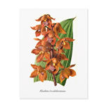 Houlletia brocklehurstiana postcards