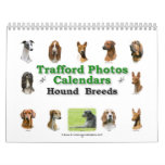 Hound Breeds Calendars