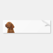 Hound Bumper Sticker