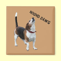 Hound Dawg Beagle Funny Dog Magnet magnets