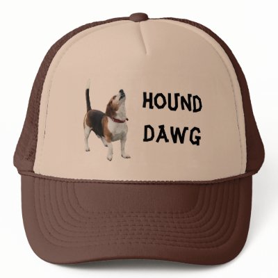 Hound Dog Howling
