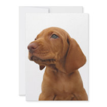 Hound Dog Invitation