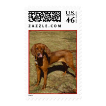 Hound Dog Postage Stamps