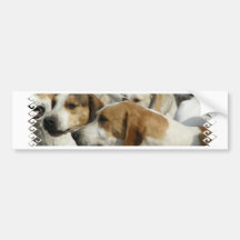 Hound Dogs Bumper Sticker
