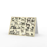 Hounds - Dog Breeds for Dog lovers canine hound cards